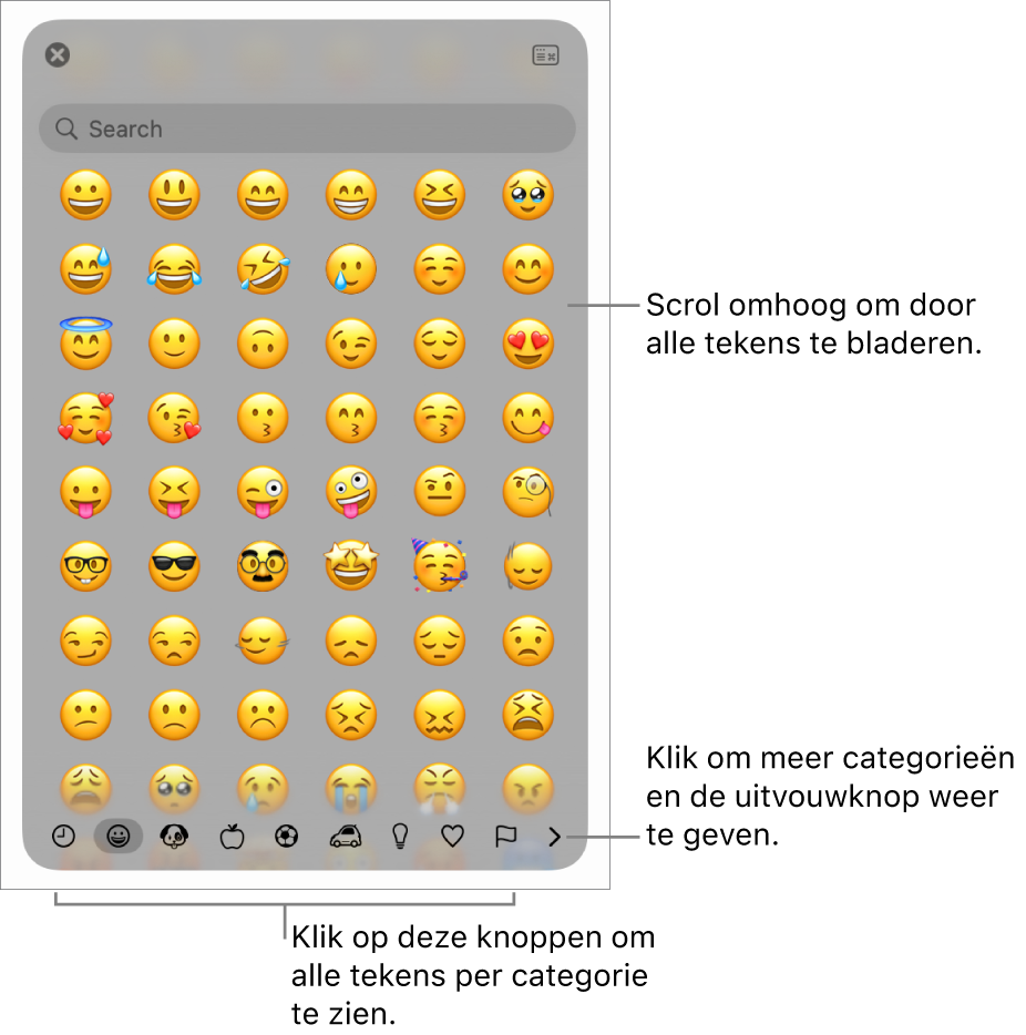 Het pop‑upmenu 'Speciale tekens' met emoticons, knoppen voor verschillende soorten symbolen (onderin) en uitleg bij de knop voor het volledige venster met tekens.