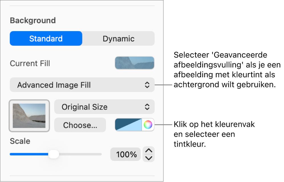 De achtergrondregelaars; als dia-achtergrond is een geavanceerde afbeeldingsvulling met een tint ingesteld.