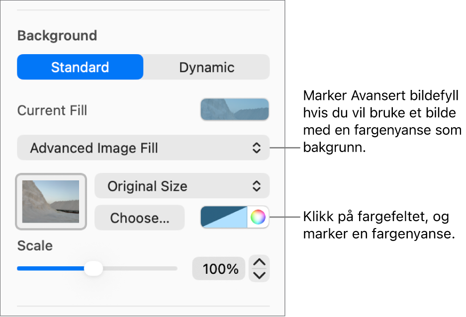 Bakgrunn-kontrollene med Avansert bildefyll med farge angitt som lysbildebakgrunn.