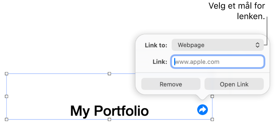 Lenkeredigerer-kontrollene med Nettside markert, og Fjerne lenke- og Åpne lenke-knappene nederst.