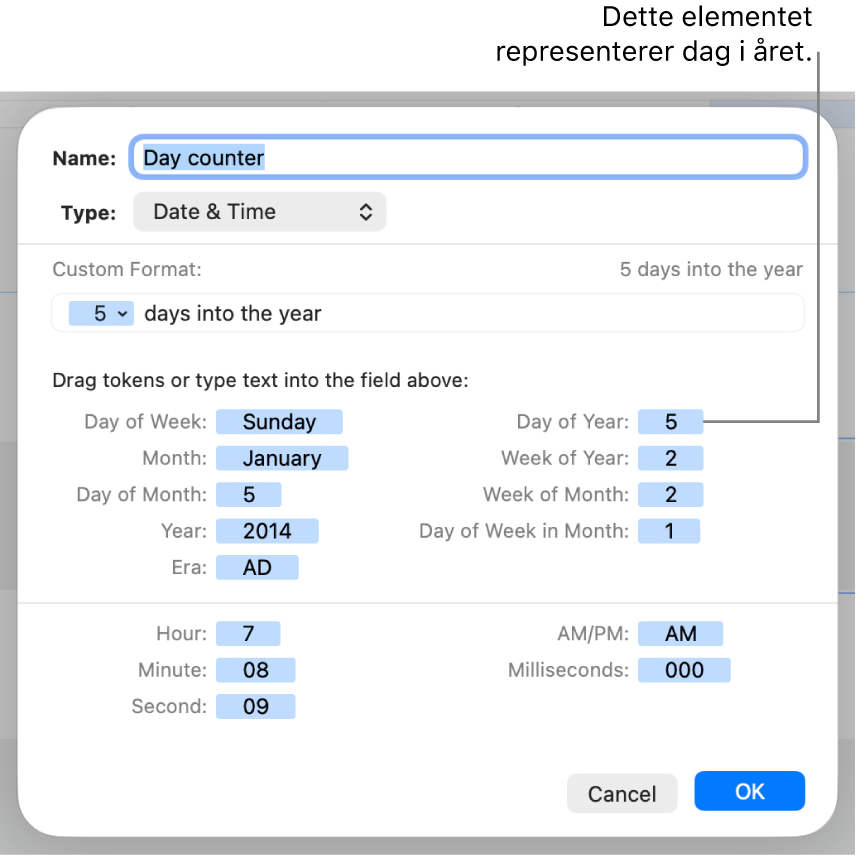 Tilpasset celleformat-vinduet, med kontroller for å opprette et tilpasset dato og tid-format.