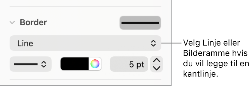 Kantlinje-stilkontrollene i Format-sidepanelet, med Linje valgt som kanttype.