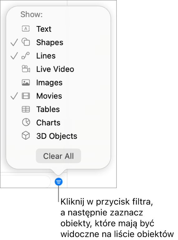 Rozwinięte menu podręczne filtra, zawierające listę typów obiektów, jakie mogą znajdować się na liście (tekst, kształty, linie, obrazki, filmy, tabele i wykresy).