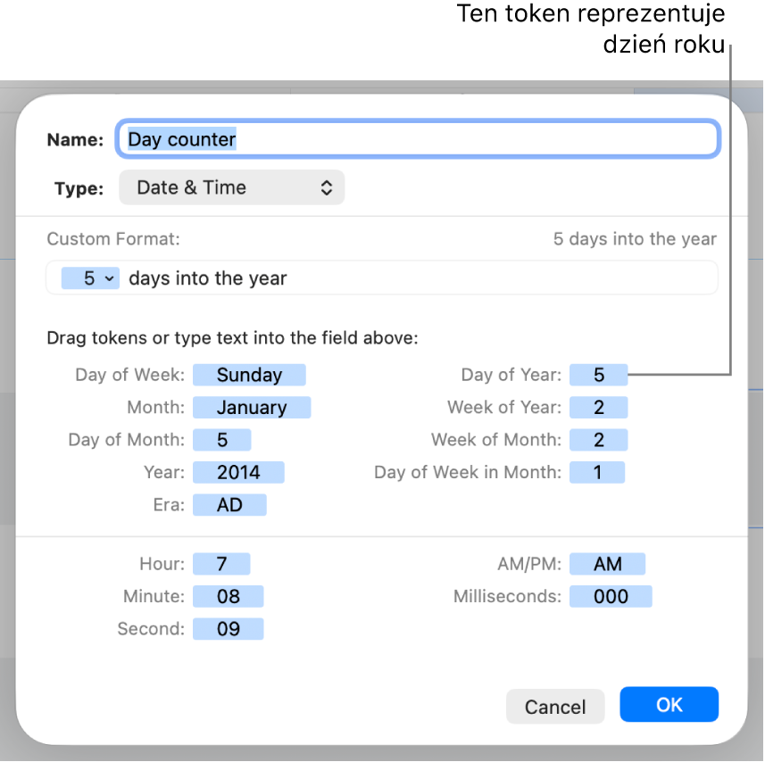Okno formatu własnego z narzędziami do tworzenia własnego formatu wartości daty i czasu.