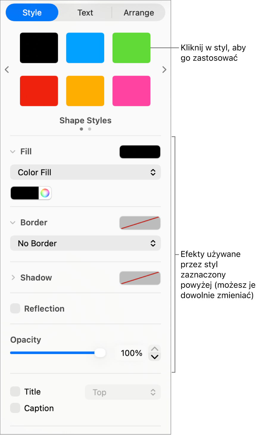 Style kształtów i opcje w sekcji Format na pasku bocznym.