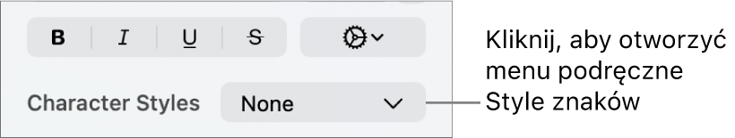 Menu podręczne Style znaków, wyświetlone poniżej narzędzi służących do zmieniania stylu i koloru tekstu.