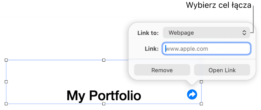 Narzędzia edytora łączy; wybrane jest narzędzie Strona www; na dole znajdują się przyciski Usuń i Otwórz łącze.