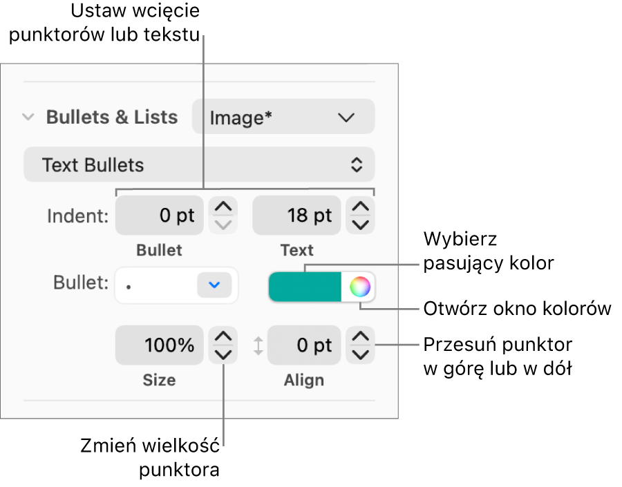 Sekcja Punktory i listy z etykietami wskazującymi narzędzia wcięć punktorów i tekstu, koloru punktora, wielkości punktora oraz wyrównywania.