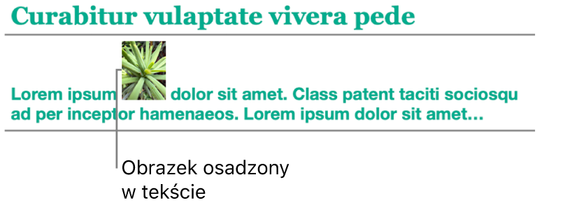 Obrazek osadzony w tekście.