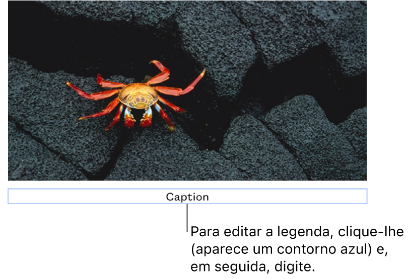 O marcador de posição de legenda, “Legenda”, aparece sob a fotografia; um contorno azul em redor do campo de legenda para mostrar que está selecionado.