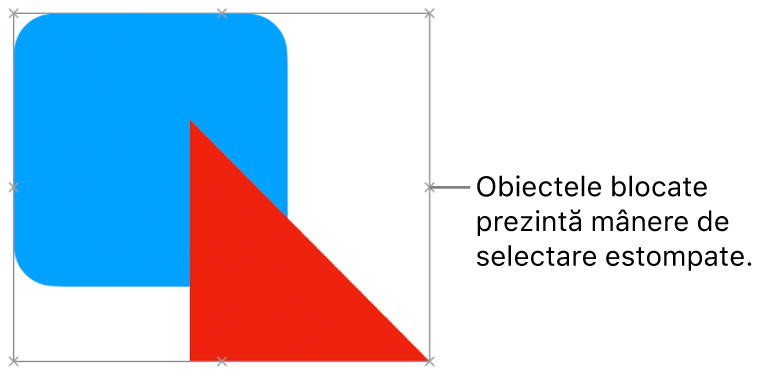 Obiecte blocate cu mânere de selecție estompate.