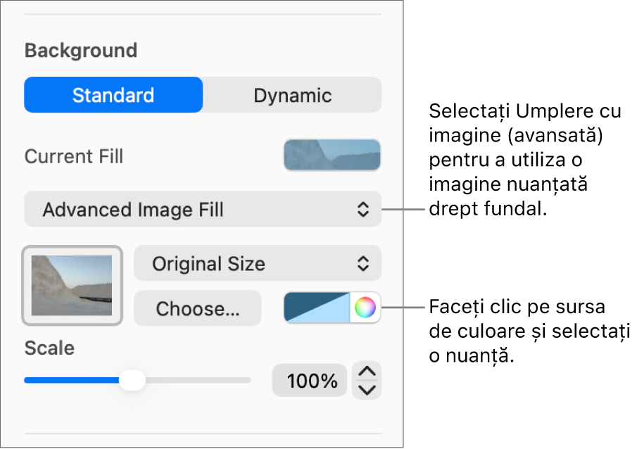 Comenzile Fundal cu o umplere cu imagine (avansată) nuanțată configurată drept fundal al diapozitivului.