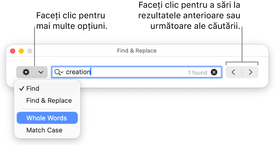 Fereastra Găsește și înlocuiește cu meniul pop-up afișând opțiunile Găsește, Găsește și înlocuiește, Cuvinte complete și Majuscule/minuscule. Săgețile din dreapta vă permit să treceți la rezultatele anterioare sau următoare ale căutării.