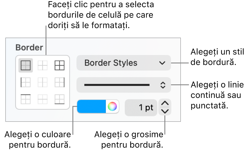 Comenzile din bara laterală pentru modificarea aspectului bordurilor celulelor.