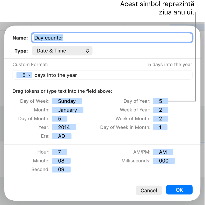 Fereastra de formatare personalizată a celulei, cu comenzi pentru crearea unei formatări personalizate a datei și orei.