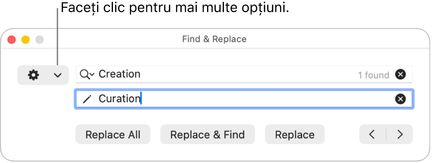 Fereastra Găsește și înlocuiește, cu o explicație pentru meniul pop-up care afișează mai multe opțiuni.