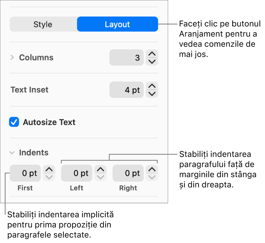 Secțiunea Aranjament a barei laterale Format afișând comenzi pentru configurarea indentării primei linii și a marginilor paragrafului.