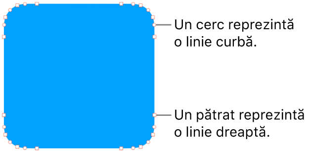 Formă cu puncte editabile.