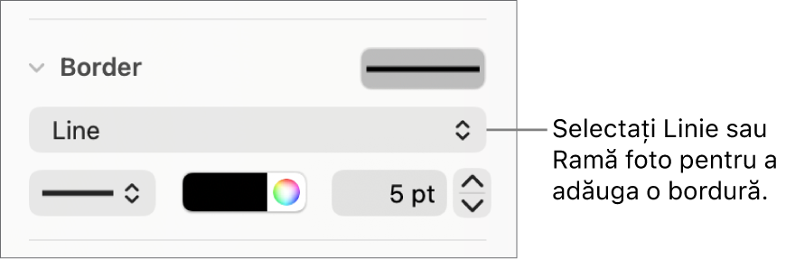 Comenzile pentru stilurile de bordură din bara laterală Format cu opțiunea Linie selectată drept tip de bordură.