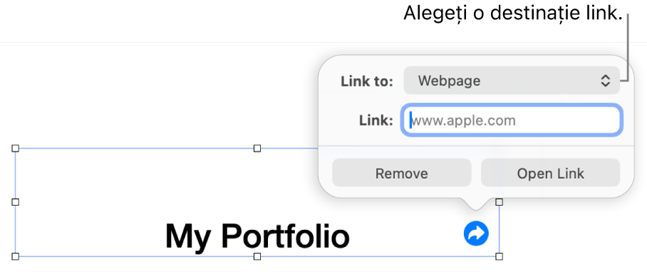 Comenzile editorului de linkuri cu opțiunea Pagină web selectată și butoanele Elimină și Deschide linkul în partea de jos.