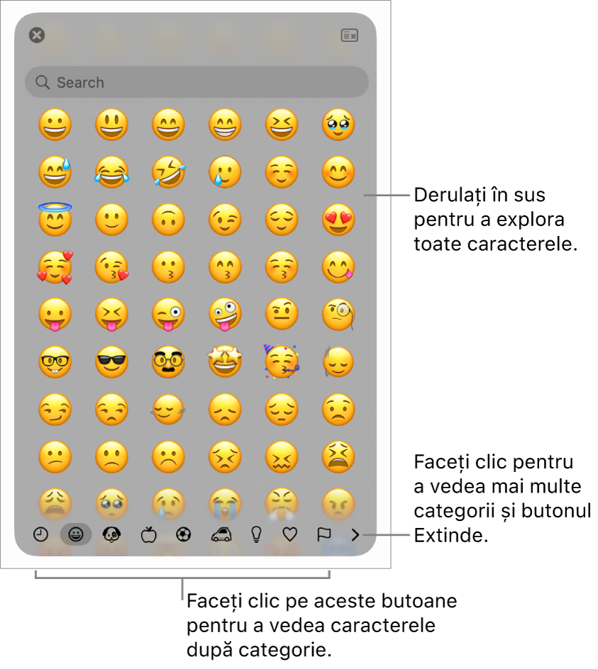 Fereastra pop-up Caractere speciale afișând emoticoane, butoane pentru diferite tipuri de simboluri în partea de jos și o explicație pentru un buton care afișează fereastra completă Caractere.