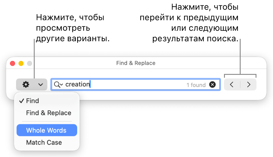 В окне «Найти и заменить» открыто всплывающее меню, в котором показаны параметры «Найти», «Найти и заменить», «Целые слова» и «Регистр». Стрелки справа позволяют переходить к предыдущему или следующему результату поиска.