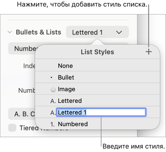 Всплывающее меню «Стили списков». В правом верхнем углу расположена кнопка добавления, выбран текст-заполнитель имени стиля.