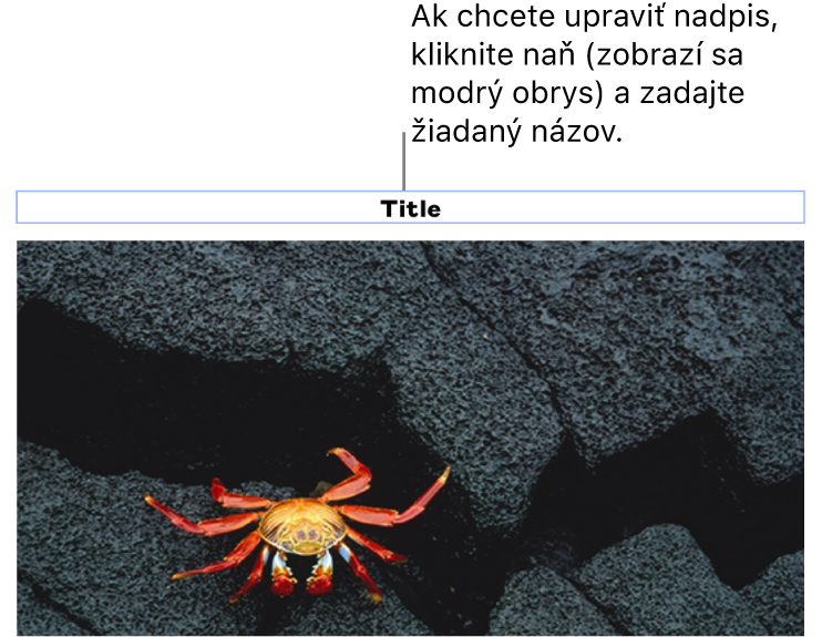 Pod fotkou sa zobrazí vzorový názov „Názov“. Okolo poľa názvu sa zobrazí modrý obrys, čo znamená, že je označený.