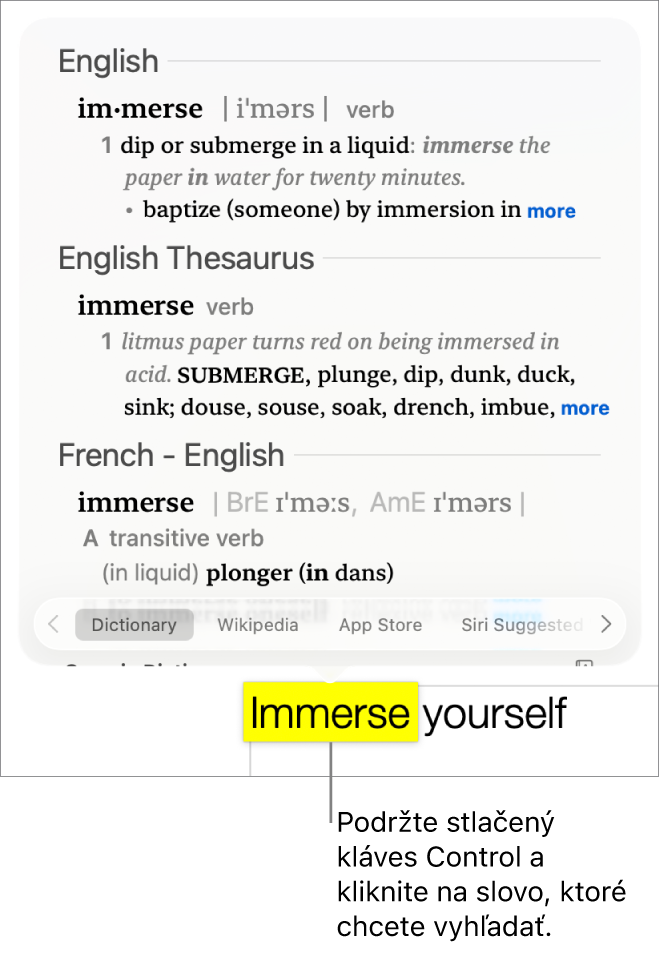 Text so zvýrazneným slovom a okno zobrazujúce jeho definíciu a položku zo synonymického slovníka. Dve tlačidlá v dolnej časti okna poskytujú odkaz na slovník a Wikipédiu.