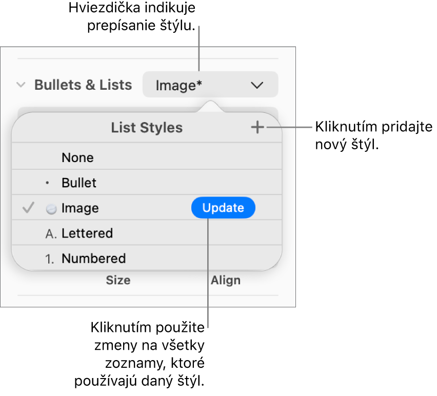 Vyskakovacie menu Štýly zoznamu s hviezdičkou označujúcou prepísanie, popismi tlačidla Nový štýl a submenu možností na správu štýlov.