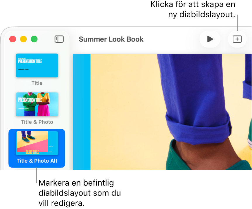 En diabildslayout på diabildslayoutområdet och knappen Lägg till diabild ovanför den i verktygsfältet.