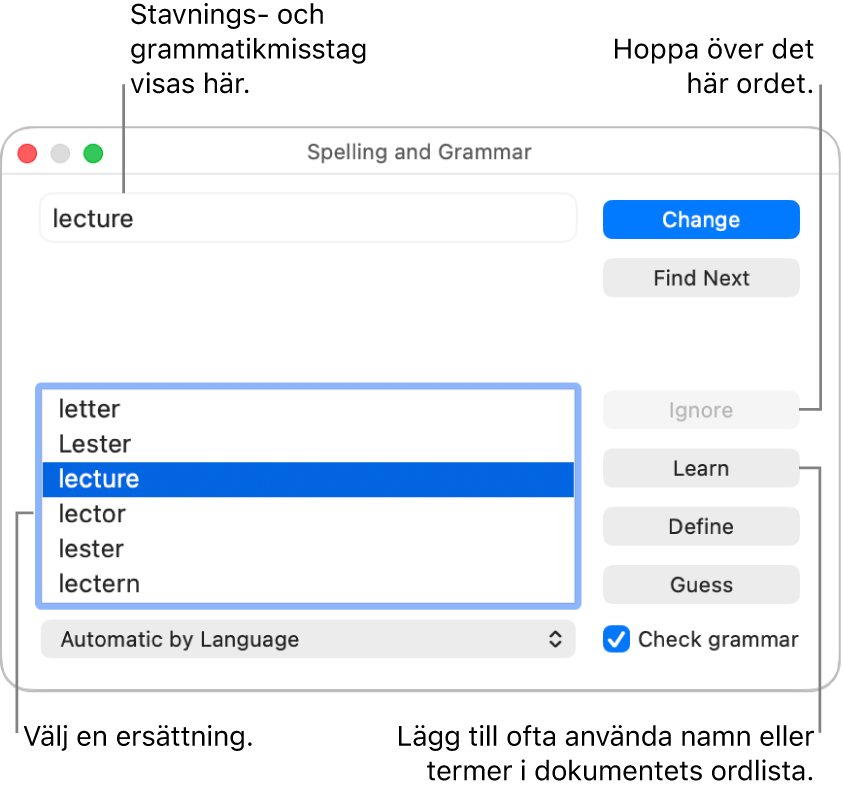 Fönstret Stavning och grammatik.