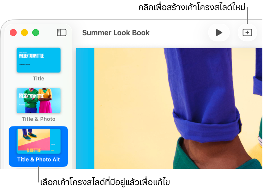 เค้าโครงสไลด์ที่แสดงอยู่ในพื้นที่เค้าโครงสไลด์ พร้อมกับปุ่มเพิ่มสไลด์อยู่ที่ด้านบนในแถบเครื่องมือ