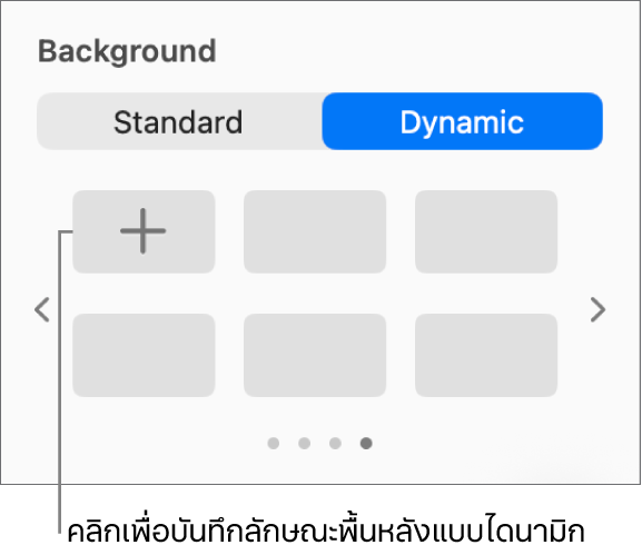 ปุ่มไดนามิกที่เลือกอยู่ในส่วนพื้นหลังของแถบด้านข้างรูปแบบ ซึ่งมีปุ่มเพิ่มลักษณะแสดงอยู่