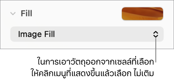 ตัวควบคุมสำหรับเอาวัตถุออกจากเซลล์ที่เลือก