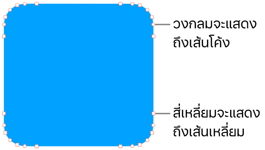 รูปร่างที่มีจุดที่แก้ไขได้