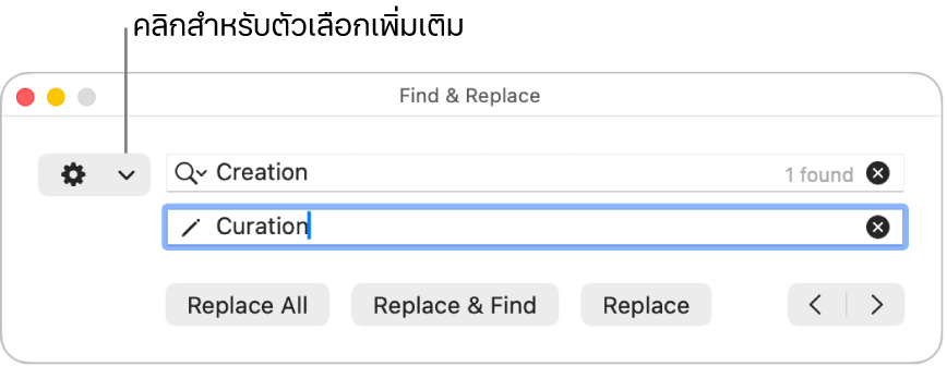 หน้าต่างค้นหาและแทนที่พร้อมคำอธิบายของเมนูที่แสดงขึ้นที่แสดงตัวเลือกเพิ่มเติม