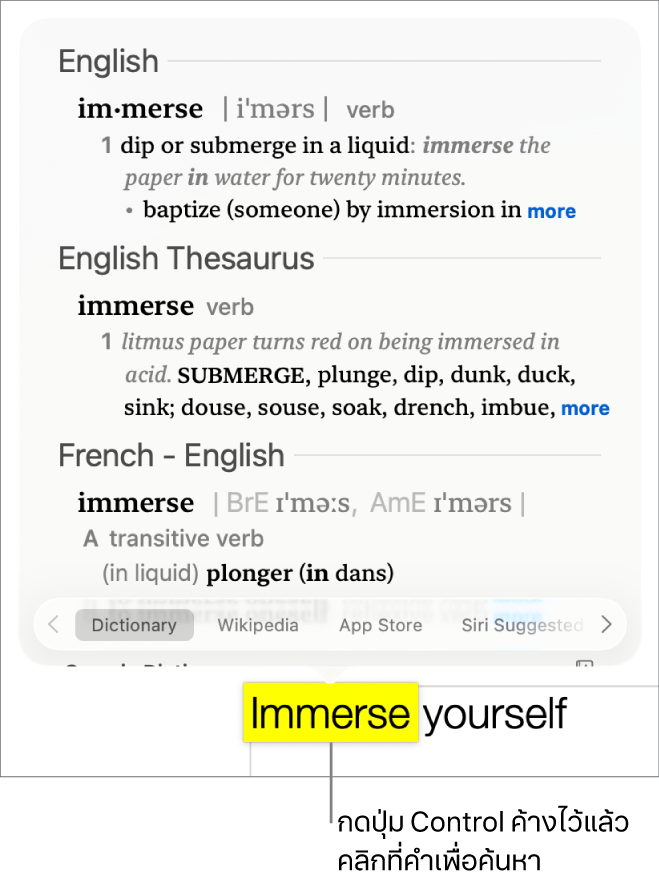 ข้อความที่มีคำที่ไฮไลท์อยู่และหน้าต่างที่กำลังแสดงคำจำกัดความของคำดังกล่าวพร้อมกับรายการอรรถาภิธาน ปุ่มสองปุ่มที่ด้านล่างสุดของหน้าต่างคือลิงก์ไปที่พจนานุกรมและวิกิพีเดีย