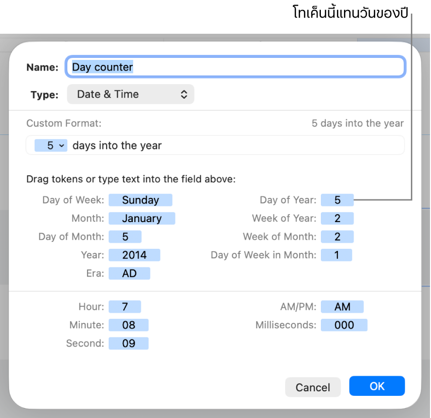 หน้าต่างรูปแบบเซลล์แบบกำหนดเองที่มีตัวควบคุมสำหรับสร้างรูปแบบวันที่และเวลาแบบกำหนดเอง