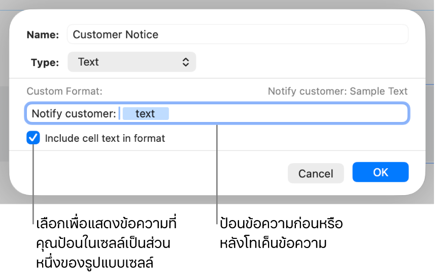 รูปแบบเซลล์ข้อความแบบกำหนดเอง