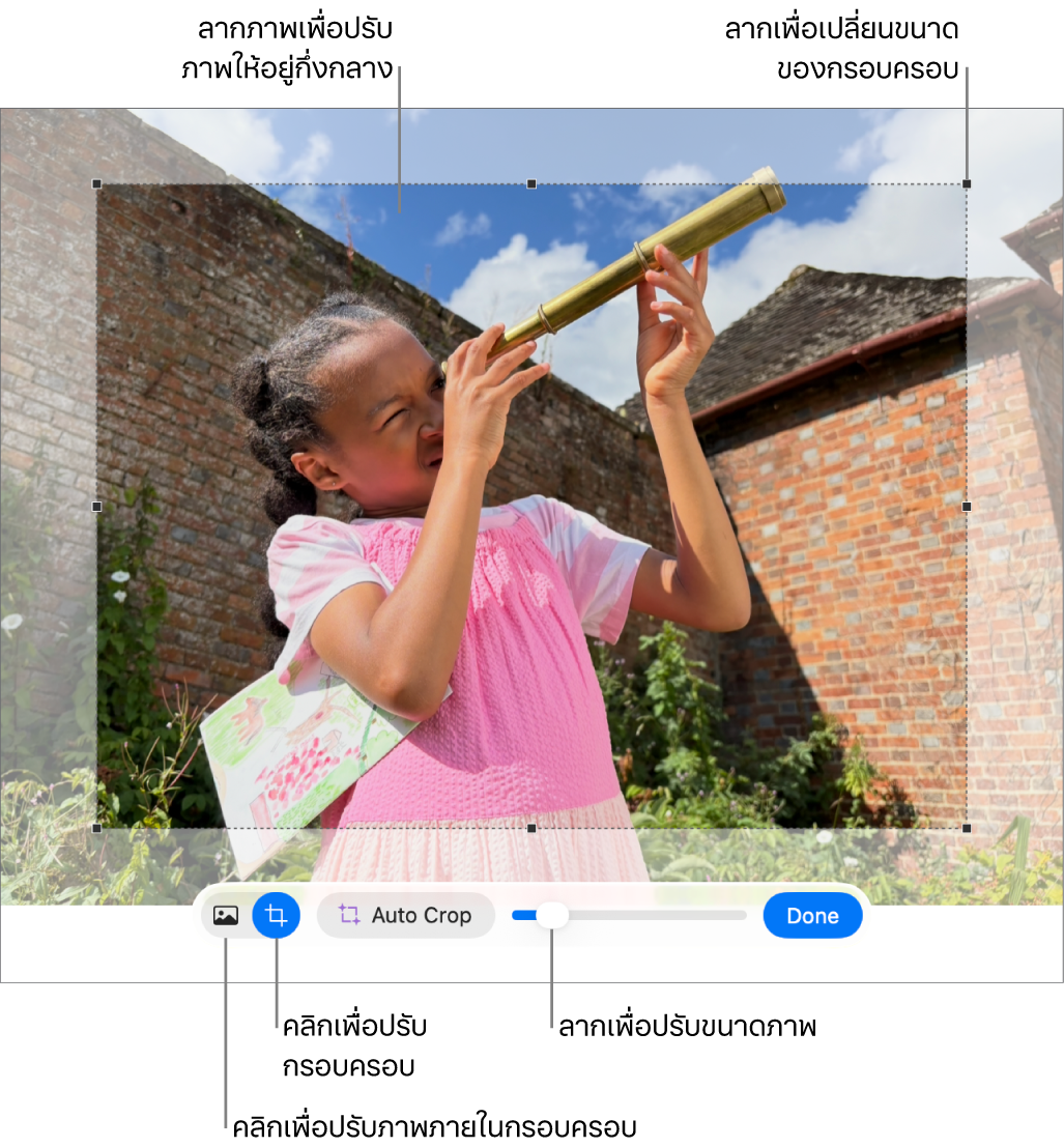 ตัวควบคุมการครอบที่อยู่เหนือรูปภาพ