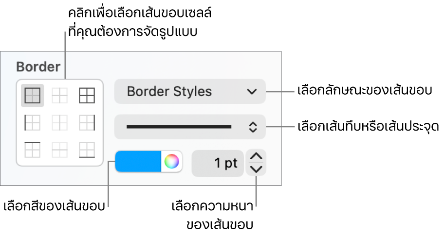 ตัวควบคุมในแถบด้านข้างสำหรับเปลี่ยนรูปลักษณ์ของเส้นขอบของเซลล์
