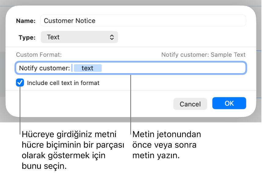 Özel metin hücresi biçimi.