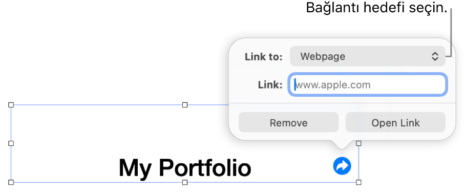 Bağlantı düzenleyici denetimlerinde Web Sayfası seçili, en altta ise Bağlantıyı Sil ve Aç düğmeleri bulunuyor.