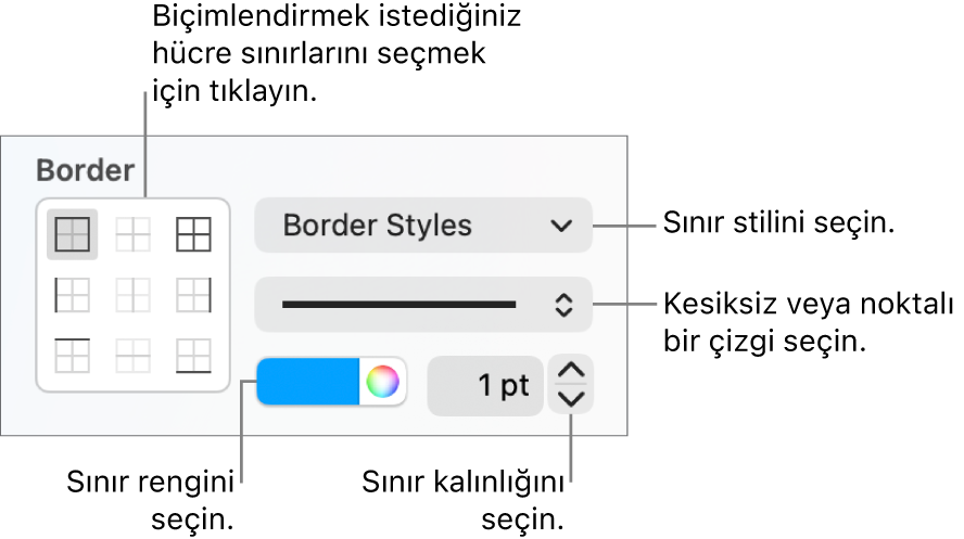 Hücre sınırlarının görünümünü değiştirmeye yönelik Kenar Çubuğu denetimleri.