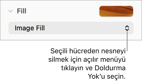 Seçilen bir hücreden nesne silmek için kullanılacak denetim.