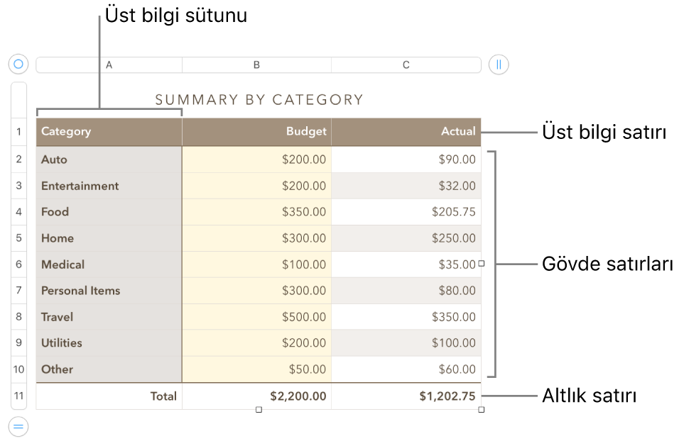 Üst bilgi, gövde ve dipnot satırlarını ve sütunlarını ve satır veya sütun eklemek ya da silmek için tutamakları gösteren bir tablo.