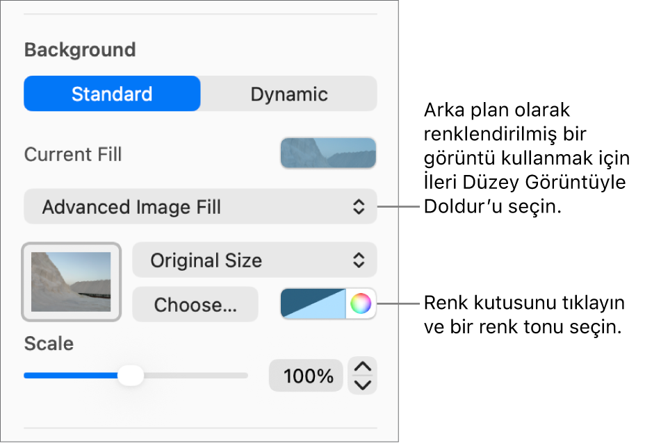 Arka Plan denetimleri, slayt arka planı olarak ayarlanmış renk tonlu bir İleri Düzey Görüntüyle Doldur ile.