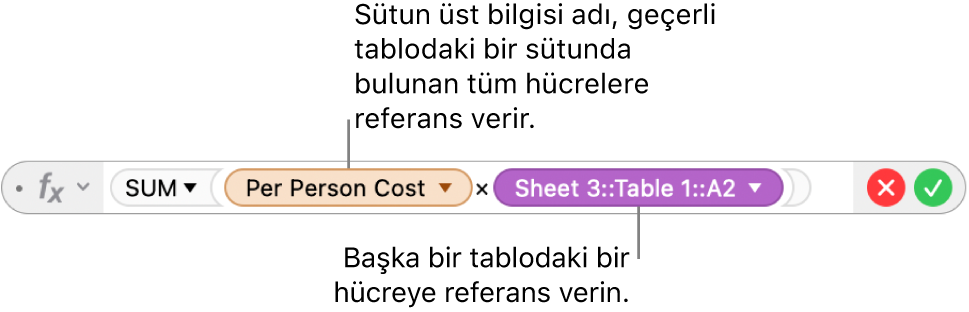 Satır ve sütun seçeneklerini koruma seçeneklerini açmak için tıkladığınız bir üçgenle Formül Düzenleyici.
