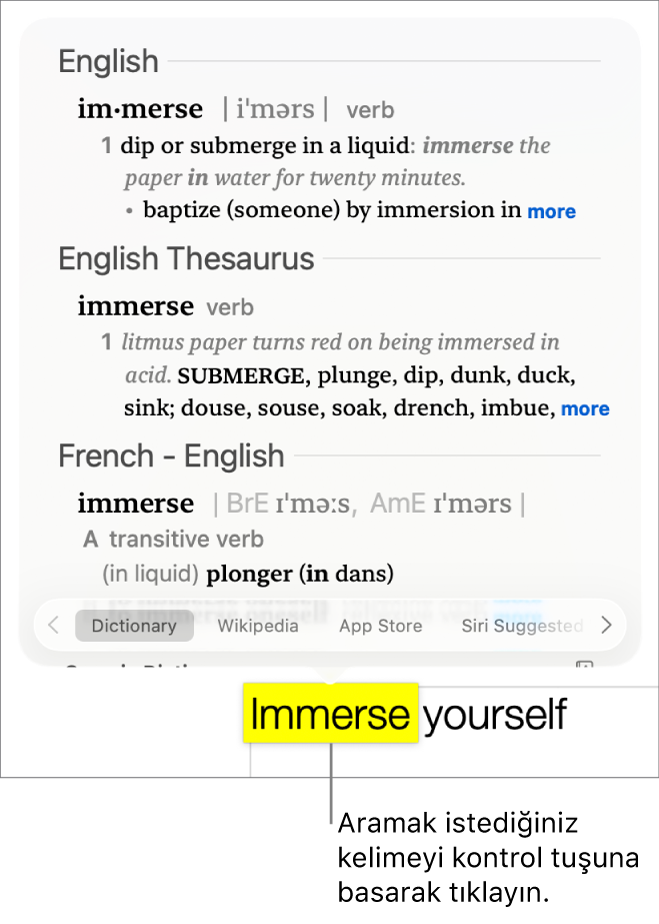 Vurgulanan sözcüklü bir metin ile bunun tanımını ve eşanlamlılar sözlüğü girişini gösteren bir pencere. Pencerenin en altındaki iki düğme sözlüğe ve Wikipedia’ya verilmiş bağlantılar içerir.